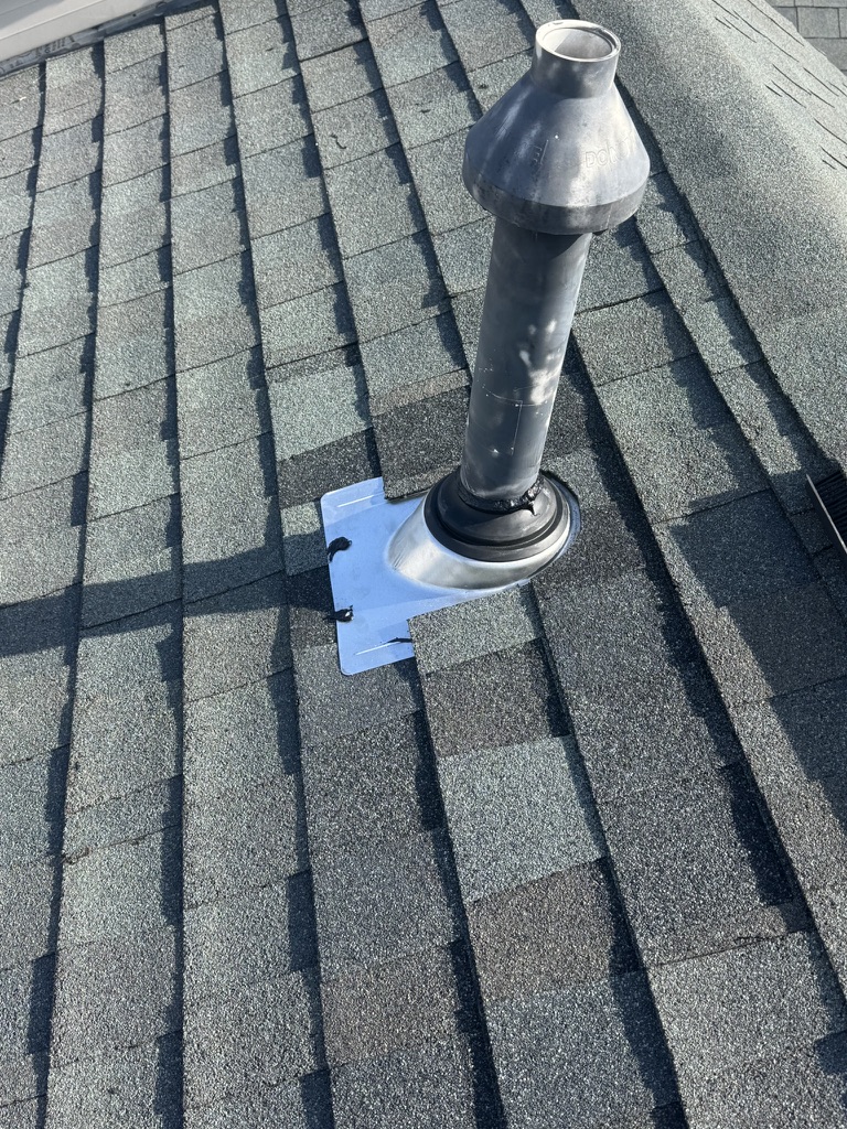 Damaged shingle assessment