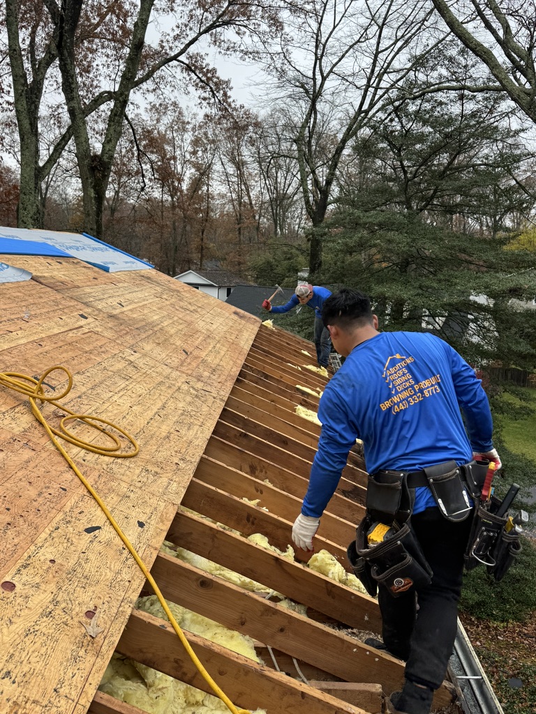 Severna Park roof view